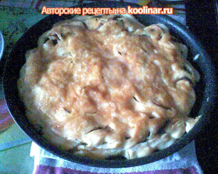 Яблочко - в теленочке, теленочек -  в шубке...= мясные рулетики с яблоками: шаг 7