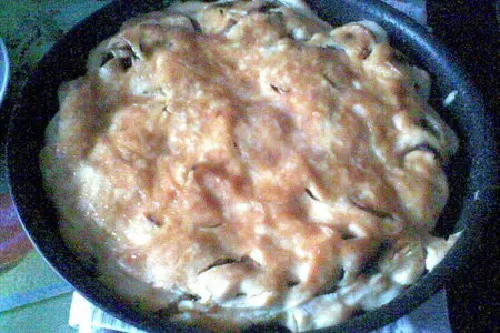 Яблочко - в теленочке, теленочек -  в шубке...= мясные рулетики с яблоками: шаг 7