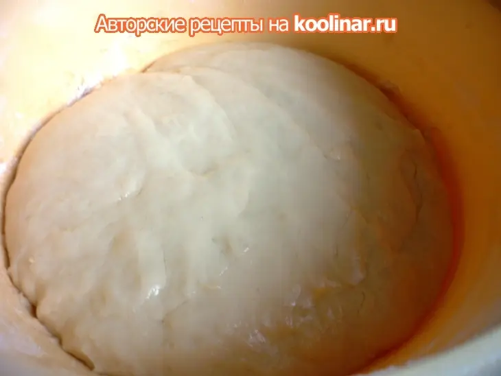 Замечательное дрожжевое тесто и выпечка из него: шаг 4