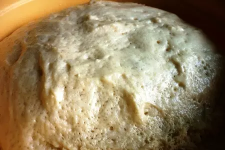 Замечательное дрожжевое тесто и выпечка из него: шаг 5