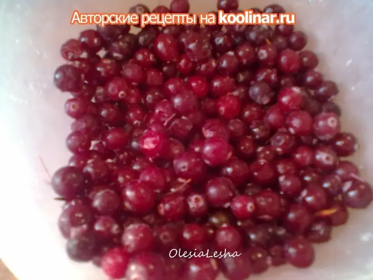 Коктейль из персиков мельбы "pfirsich melba drink"+тонизирующий морс для детей))): шаг 2