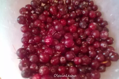 Коктейль из персиков мельбы "pfirsich melba drink"+тонизирующий морс для детей))): шаг 2