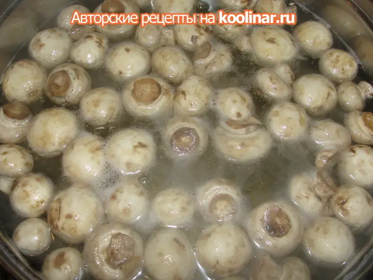 Красавцы шампиньоны: шаг 1