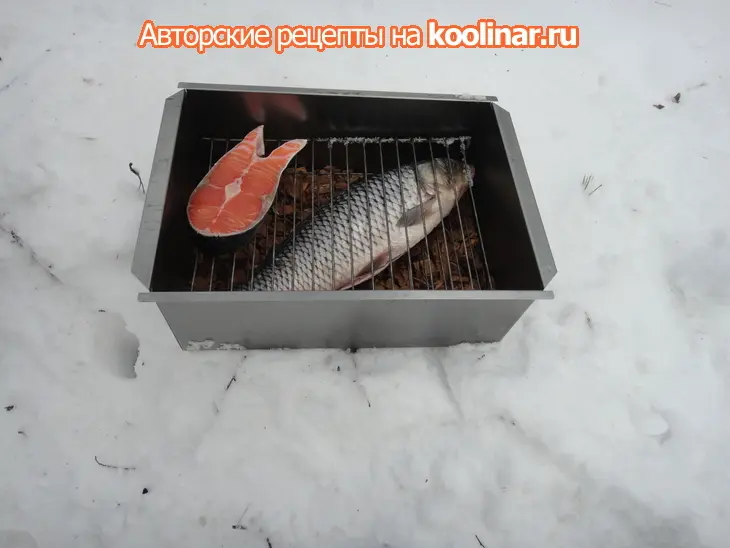 Первое весеннее копчение рыбы: шаг 4