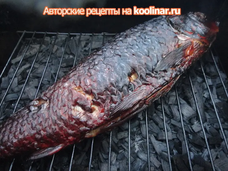 Первое весеннее копчение рыбы: шаг 7