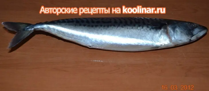 Скумбрия домашнего засола: шаг 1