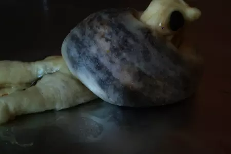 Жаворонки с подарком: шаг 1