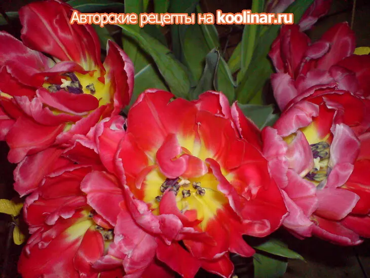 Тёплый витаминный салат из цветной капусты,моркови,чили и орешек-кешью.: шаг 7