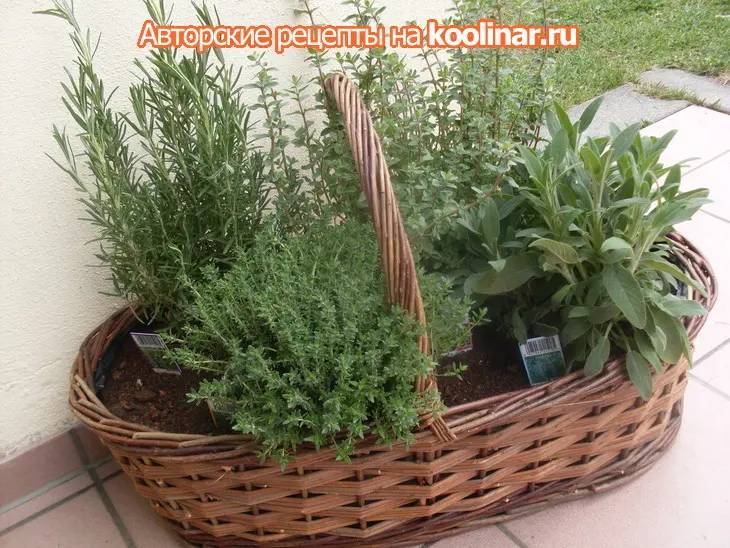 Закуска из копчёной форели и бонус маринованный сыр с оливками и вялеными томатами.: шаг 1
