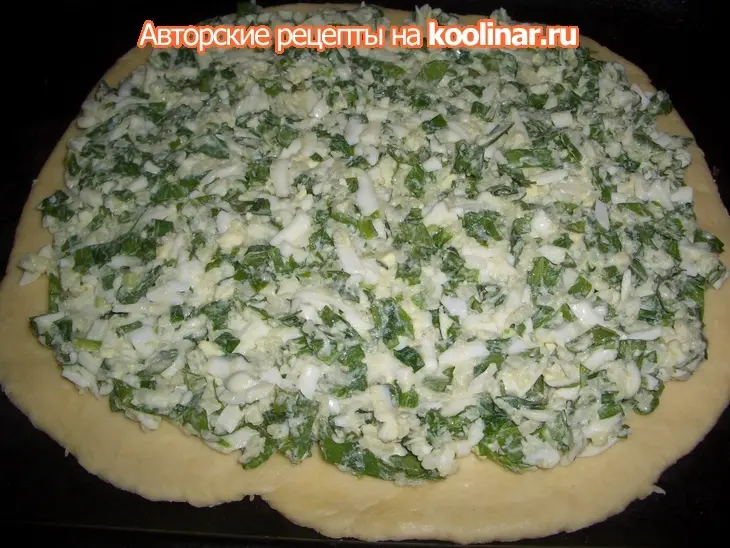 Пирог "пострел" (с зеленым луком,щавелем...): шаг 10