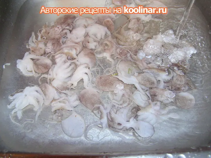 Осьминожки тушеные «разноцветная семейка».: шаг 1