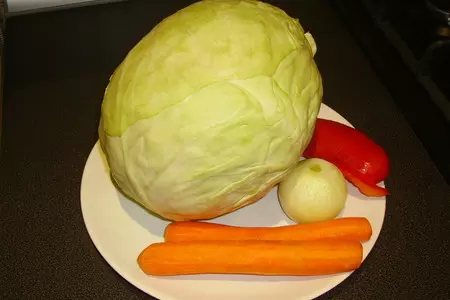 Дикий гусь с капустой: шаг 5