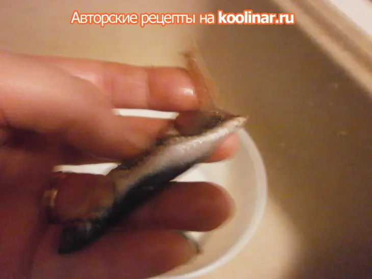 Торт-гратэн из анчоусов: шаг 3