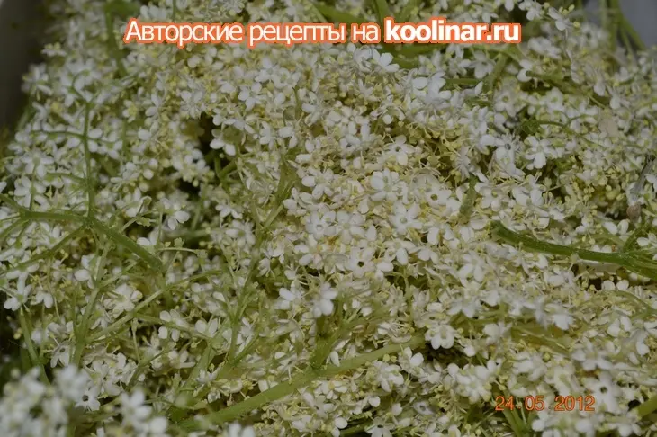 Мед из бузины.: шаг 1