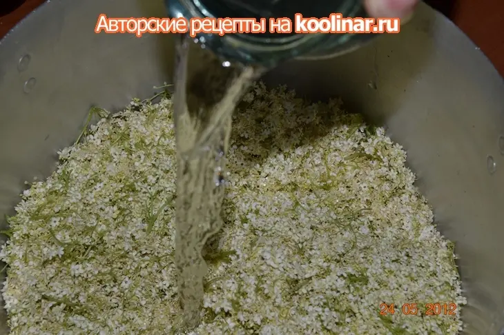 Мед из бузины.: шаг 3