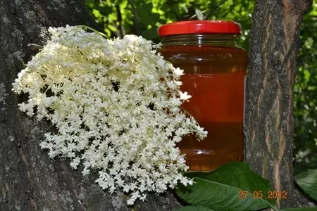 Мед из бузины.: шаг 10