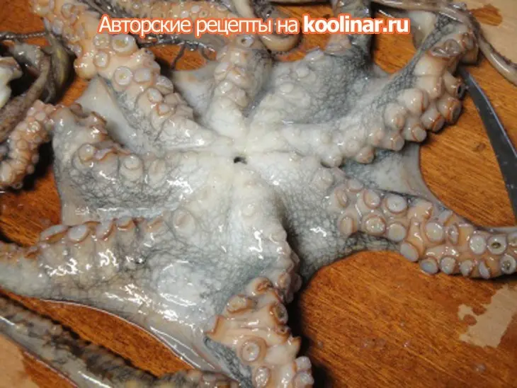Осьминог с орехами: шаг 2