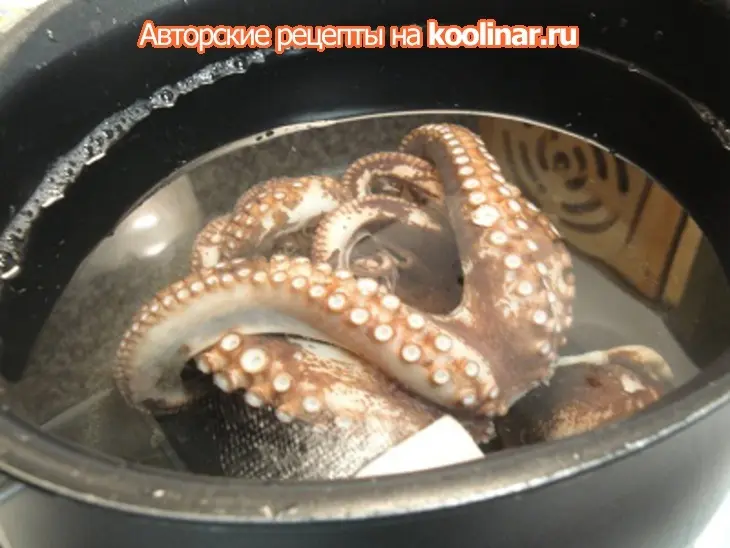 Осьминог с орехами: шаг 4