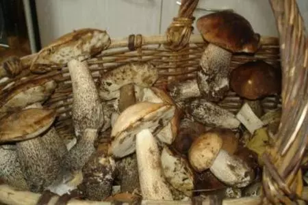 Грибы с картошкой: шаг 1