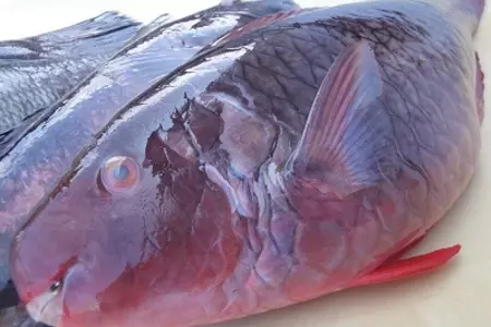 Жареный попугай под чесночным соусом с кинзой: шаг 2