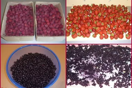 Варенье из клубники и другие плодово-ягодные заготовки: шаг 12