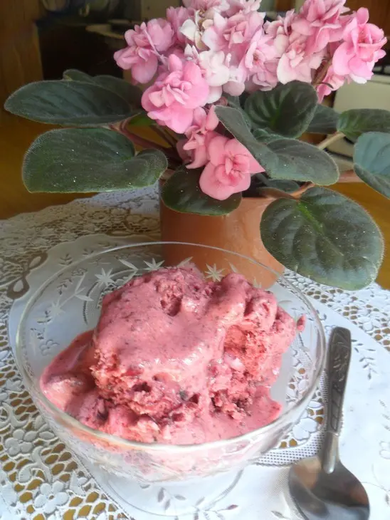 Ягодное сорбе с йогуртом и мёдом: шаг 6