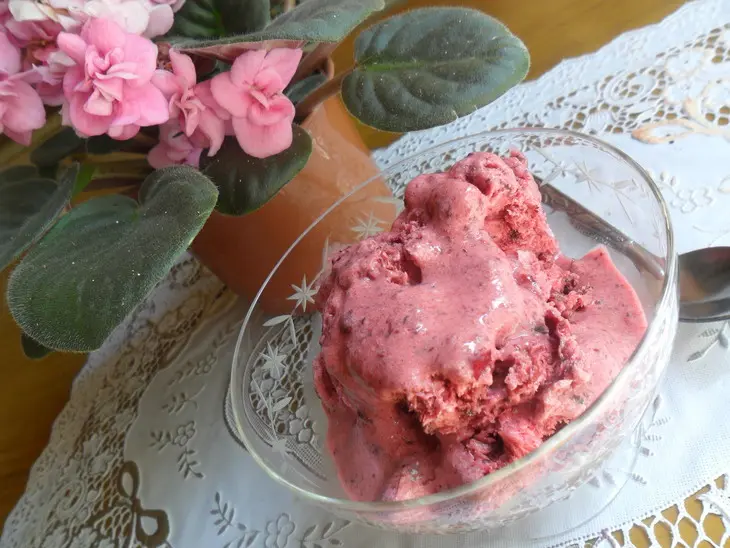 Ягодное сорбе с йогуртом и мёдом: шаг 7