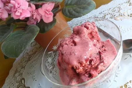 Ягодное сорбе с йогуртом и мёдом: шаг 7
