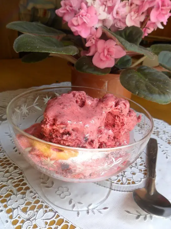 Ягодное сорбе с йогуртом и мёдом: шаг 8