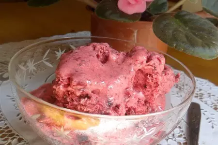 Ягодное сорбе с йогуртом и мёдом: шаг 8