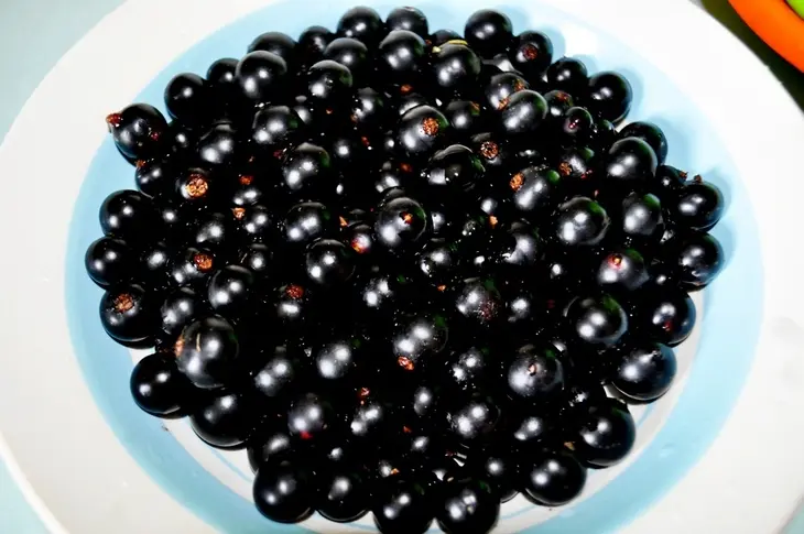 Вареники с чёрной смородиной и яблоками: шаг 2
