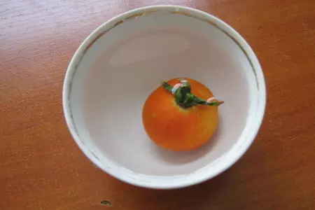 Помидор: шаг 2
