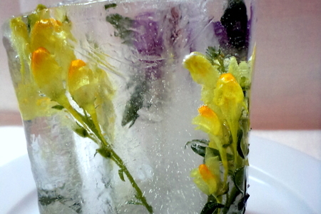Напиток для снежной королевы в стакане из льда и цветов! дуэль!: шаг 4