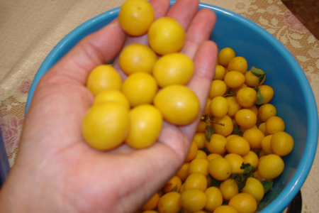 Консервированные помидоры с желтой алычей(ткемали), без уксуса.: шаг 1
