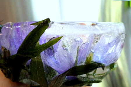 Ледяная ваза для фруктов "кристалл"!!!: шаг 2