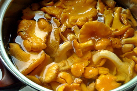 Сливочный крем-суп из цуккини, картофеля и моркови с лисичками.фм "суп из топора": шаг 3