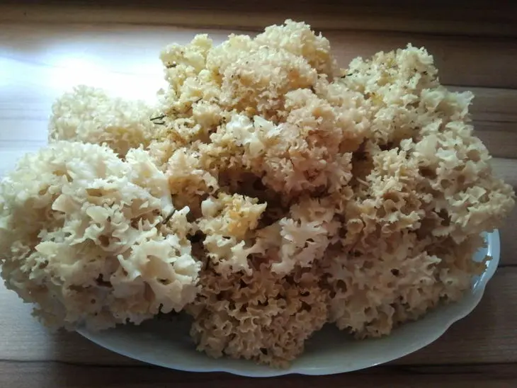 Грибной супчик с лесными грибочками: шаг 1