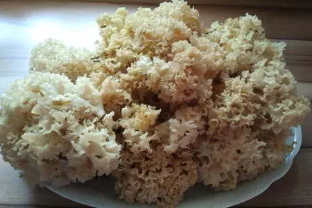 Грибной супчик с лесными грибочками: шаг 1