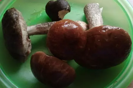 Грибной супчик с лесными грибочками: шаг 2