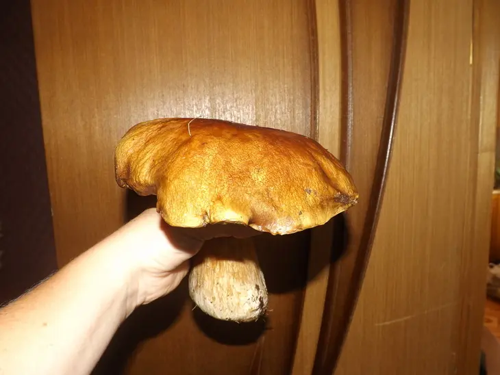 Фаршированные, запеченные баклажаны.: шаг 6