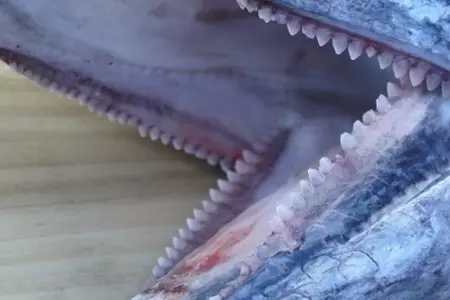 Рыбный пай с зелёным горошком: шаг 1