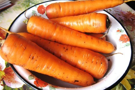 Морковный биск с кремом васаби (фм "кулинарный алфавит"): шаг 3