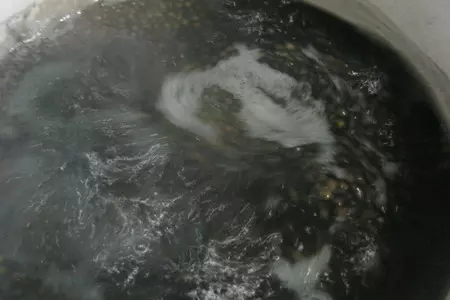 Праздничные канапе с черной чечевицей: шаг 3