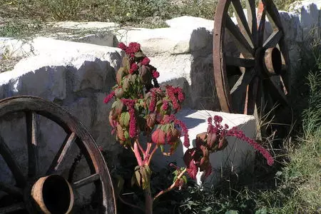 Салат сельский из печёного перца с брынзой: шаг 8