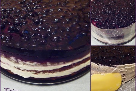Торт бисквитно-кокосовый "черничная поляна": шаг 13