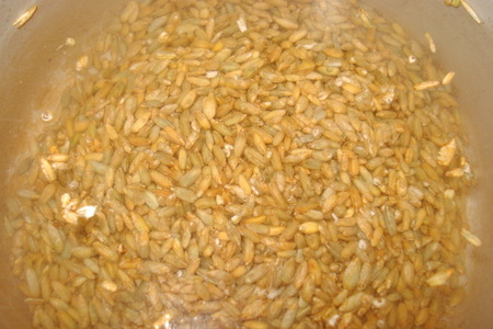  хлеб vollkornbrot немецкий зерновой (фм хлебный): шаг 1