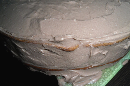 Бисквитный торт с шоколадным пудинговым кремом и карамелью "dames favoris!": шаг 25