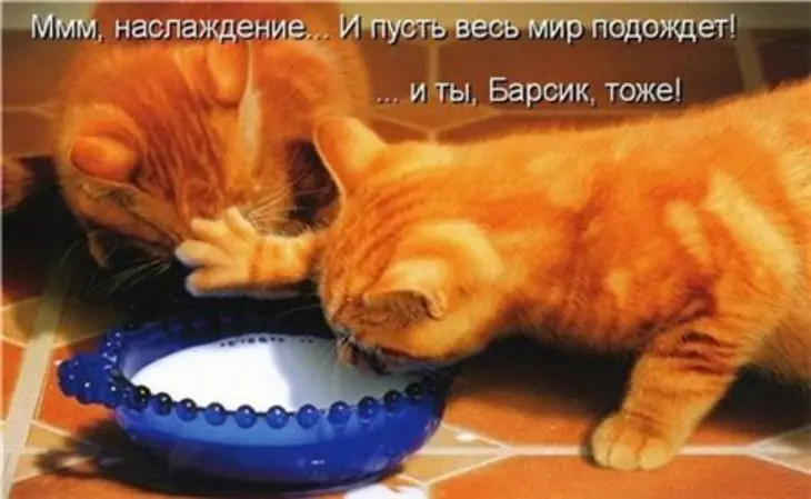 Спринг роллы с творогом, яблоком, клубникой!!!: шаг 8