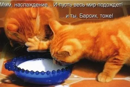 Спринг роллы с творогом, яблоком, клубникой!!!: шаг 8