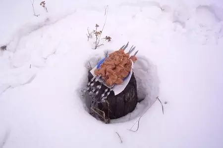 Первый шашлык этой весной.: шаг 4